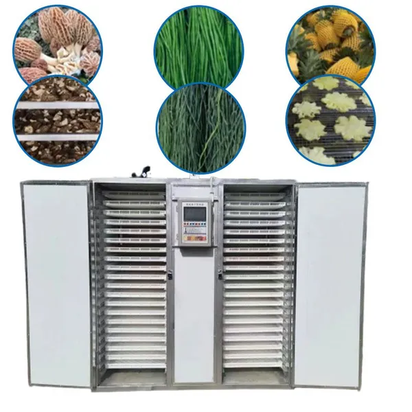 Food Processing Drying Equipment for Dehydrating Fruits and Vegetables in Agri-Food Industry