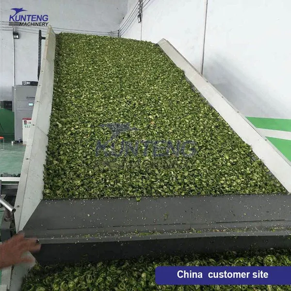 Industrial Hot Air Cassava Chips Leaves Vegetable Tunnel Dryer Breadfruit Salami Groundnut Shrimp Shell Drying Machine EPC photo-4