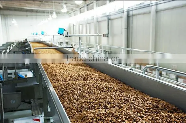 Complete Full Automatic Potato Chips Making Machine Production Line photo-3
