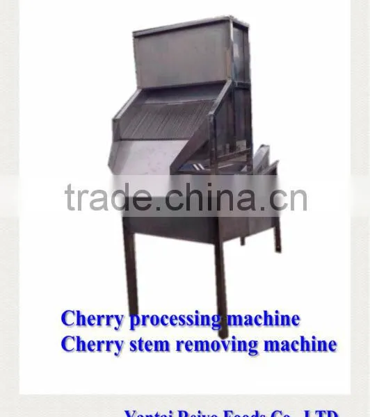 Fruit Stem Removing Machine / Chilli Stem Removing Machine photo-3