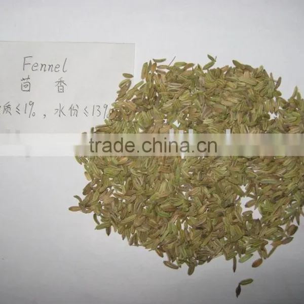 Fennel