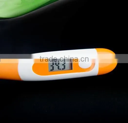 Waterproof Digital Thermometer photo-3
