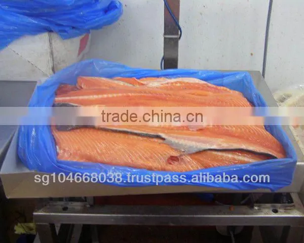 ATLANTIC SALMON FRAMES photo-5