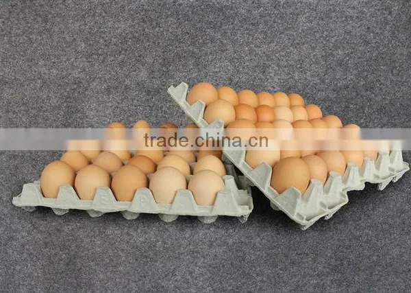 Paper Pulp Superior Quality Egg Packaging Tray