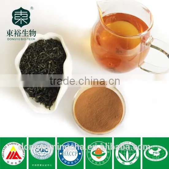High Quality Green Tea Polyphenols at Lowest Price for Sliming Purpose