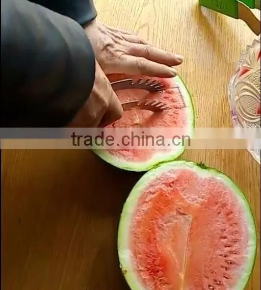 As Seen on TV Right Choice Convenient Magic Watermelon Slice for Home Use photo-6