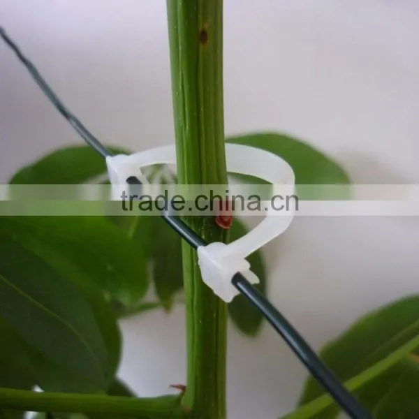 65mmL Gardening Plant Clip Kiwi Clip photo-4