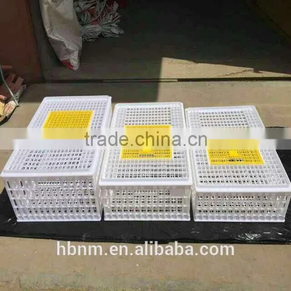China Best Price Plastic Chicken Transport Cage for Poultry Farms photo-2