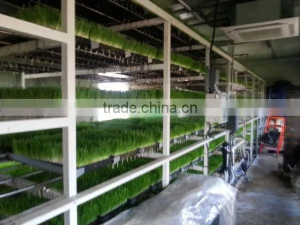 BK Conveyor Culture photo-5