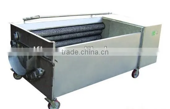 Hot Sale Super Quality Newest Easy Operation Carrot Washing Machine photo-6