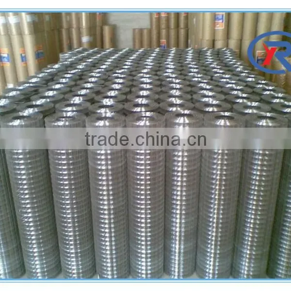 Steel Welded Wire Mesh Roll for Sale photo-5
