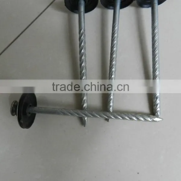 2017 Steel / Iron Nail Factory Offer 2017 photo-3