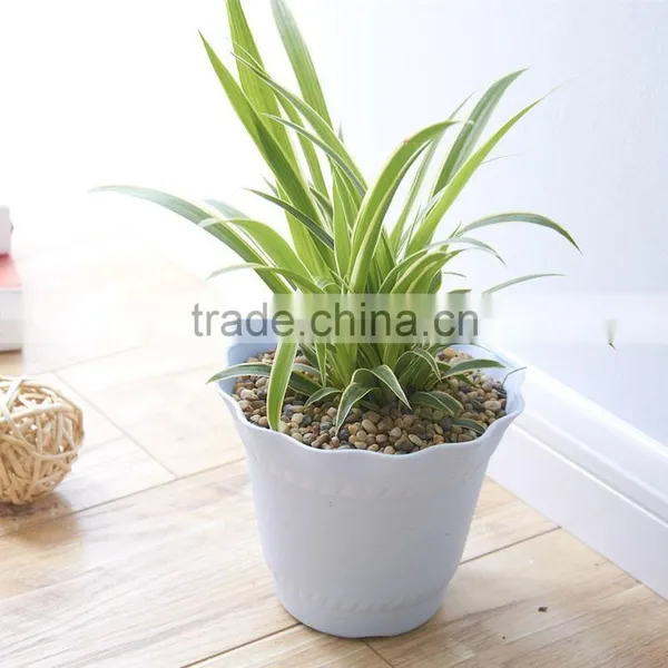 Fashional Design Lotus Shaped Plastic Plant Flower Pot Which Has 6 Kinds of Colors photo-5