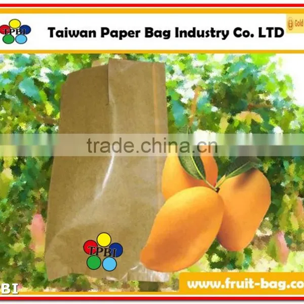TPBI Fruit and Vegetables Packaging Materials Growing Paper Bag Protection Paper Bag