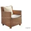 Recreational Chair