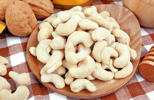Cashew Drying Machine photo-5