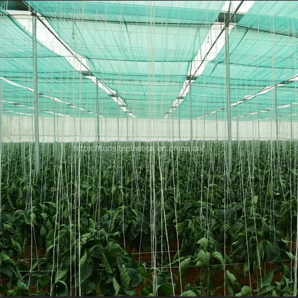 Hot Sale Sun Shade Net/Mesh Concealment for Agriculture photo-2