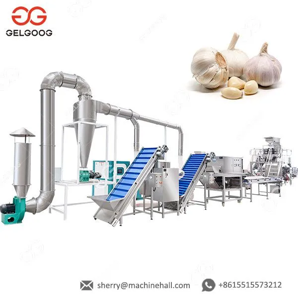 Ginger Garlic And Chilly Grining Machine Ginger Garlic Paste Making Machine Price