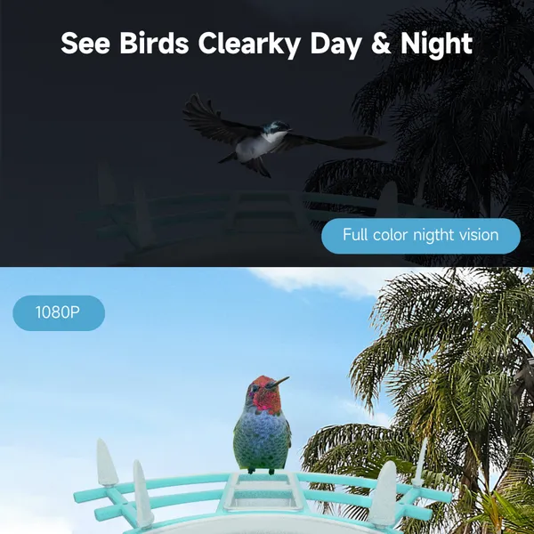 Ringsee 2.4 GHz Wi-Fi Smart Bird Feeder Camera Solar Charging 2.0MP HD Ip65 Weatherproof Network Camera for Outdoor Use photo-3