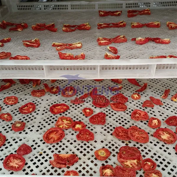Machinery Drying Vegetable Fruit Tomato Drying Machine Food Dryer Dehydrator Drying Machine photo-4