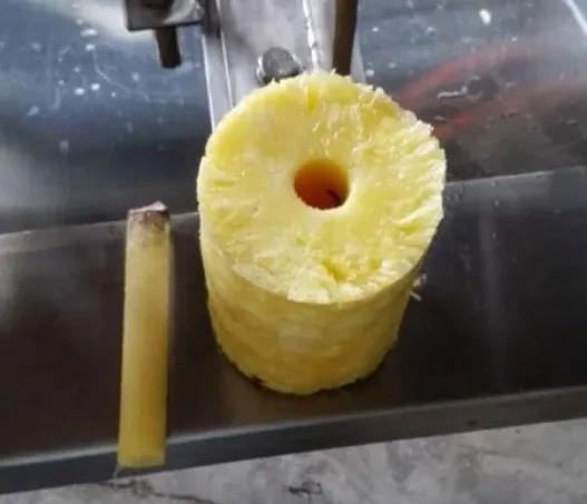 Automatic Pineapple Jackfruit Peeler Peeling Coring Slicing Cutting Processing Separating Machine photo-2
