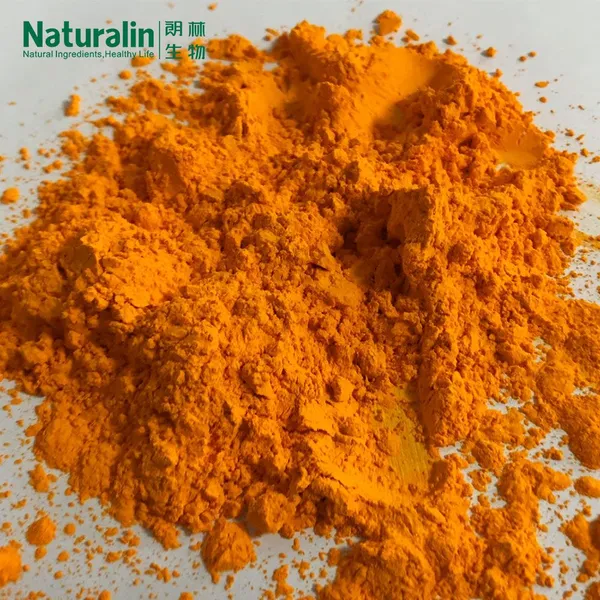 Turmeric Extract photo-2