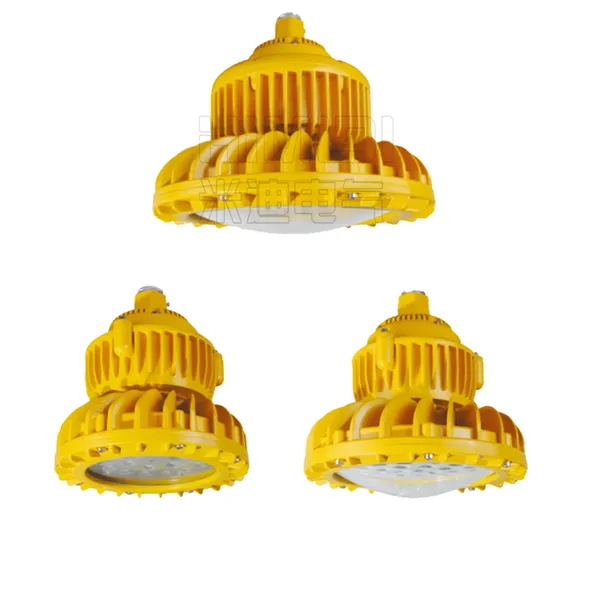 Explosion Proof LED Flood Light IP66 Ex db IIC T6 Outdoor Flameproof Industrial Lighting Lamp
