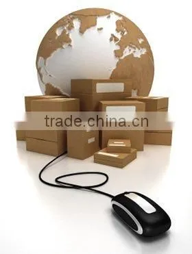 Express Delivery to Lebanon