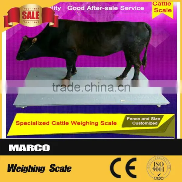 Electronic Used Livestock Scale Poultry Farm photo-6