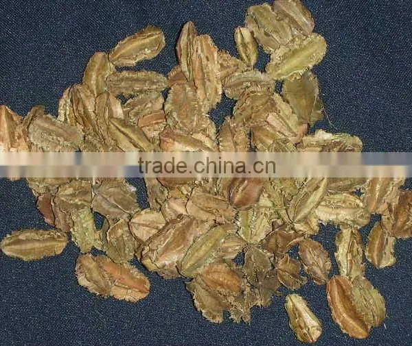 Dried Flower