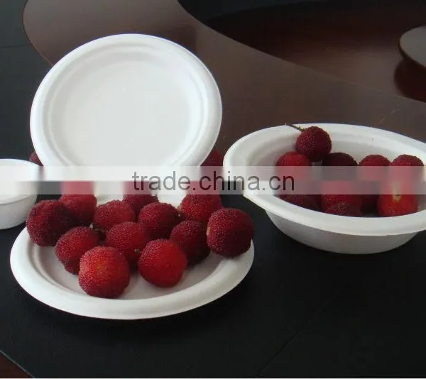 High Quality Eco-friendly Plate photo-6