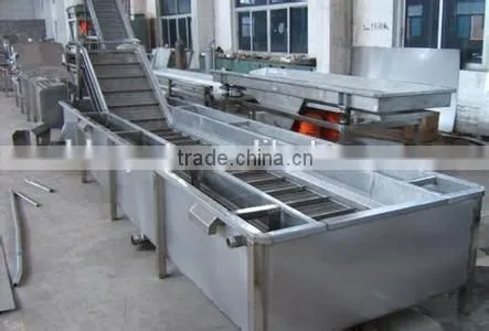 Fruits Oranges Cleaning Drying and Grading Production Line photo-6