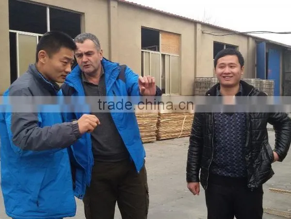 Timber Wood For Construction Building Material photo-6