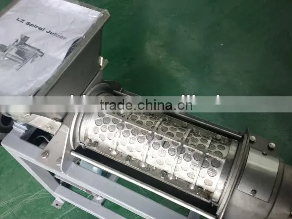 Small Juicer