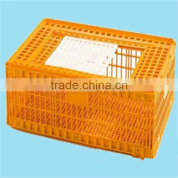 Injection Durable Mold Maker for Poultry Crate photo-3