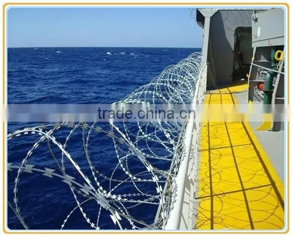 Low Price Concertina Barbed Razor Wire( Direct Factory) photo-4