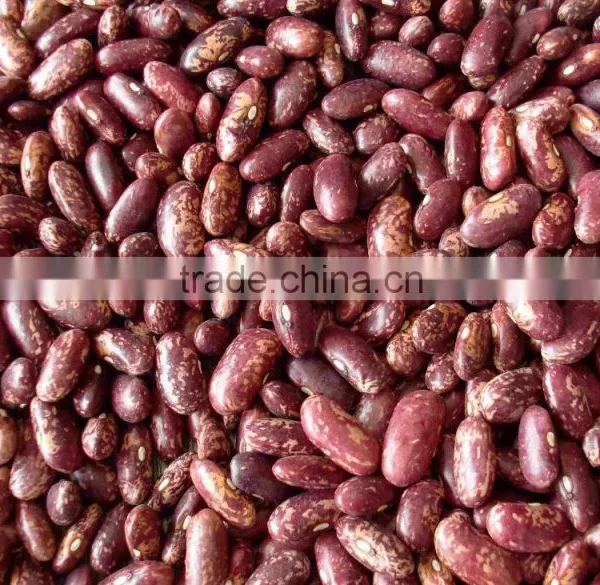20015 New Crop British Type Dark Red Kidney Beans photo-2