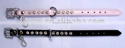 Trendy Pet Collars With Accessory