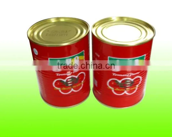 800G China Factory Hot Sell Nature Canned Tomato Paste photo-5