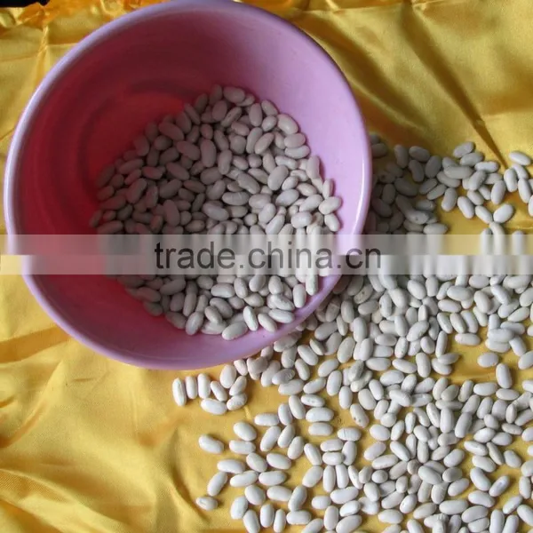 Bai Sha ke Chinese Dry White Kidney Beans photo-6