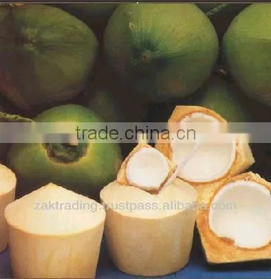 Green Young Coconut photo-2
