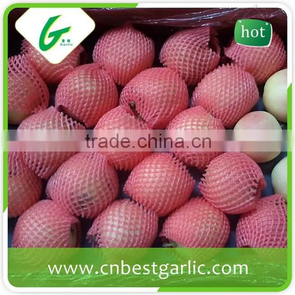 Red Chief Royal Gala Apple in Competitive Prices photo-4