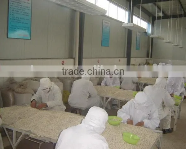 2014 Crop of Chinese Red Kidney Bean British Type Japnese Type photo-6