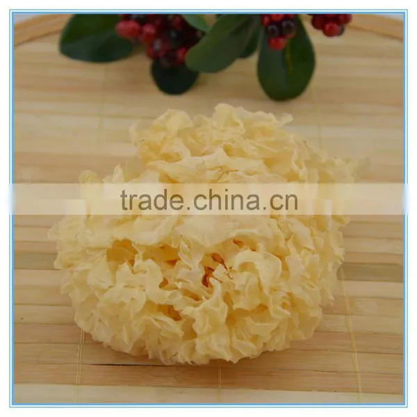 Dried White Wood Ear Fungus