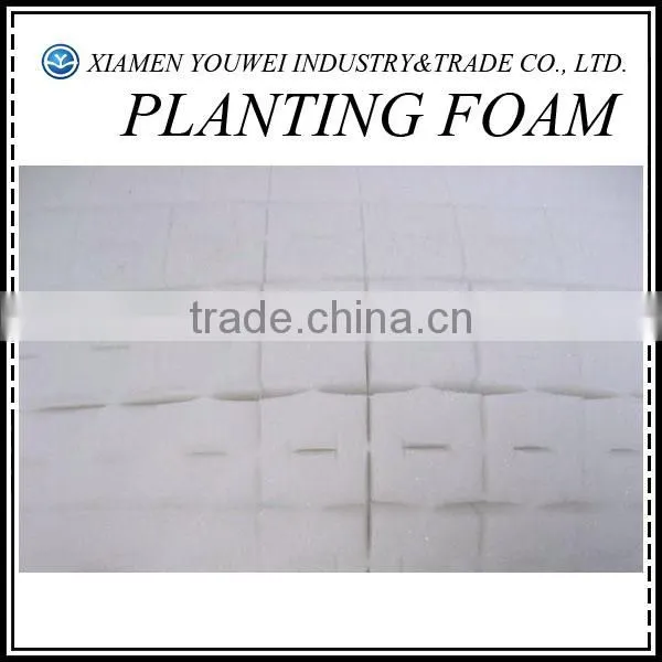 Commercial Hydroponics Systems Planting Foam Soilless Culture