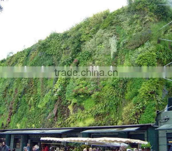 Most Realistic Best Quality Foliage Wall Decoration Artificial Plant Wall for Outdoor photo-5