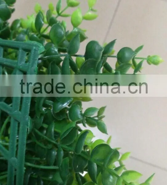 Artificial Boxwood Carpet Artificial Grass Carpet for Balcony photo-5