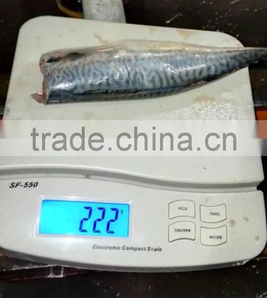 HGT Pacific Mackerel Scomber Japonicus Headless Gutted Tailess photo-4