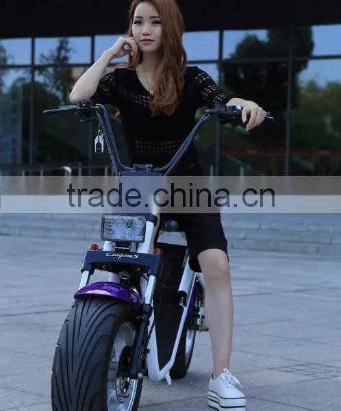 2017 800w 2 Wheel Electric Citycoco Scooter Citycoco photo-2