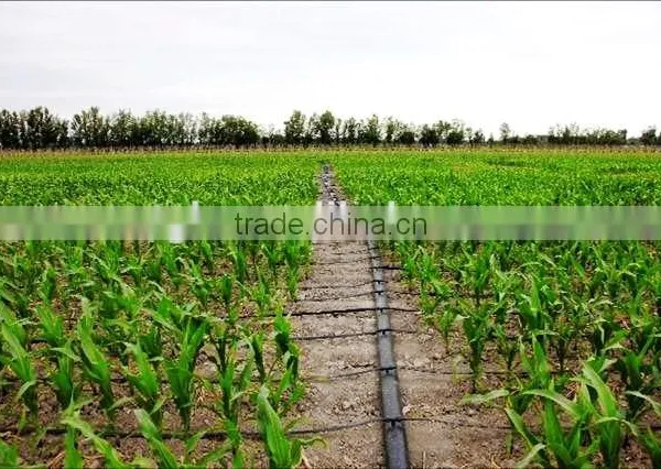 PE Drip Irrigation Lay Flat Hose photo-5